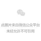 智元第10000台通用具身机器人正式下线！