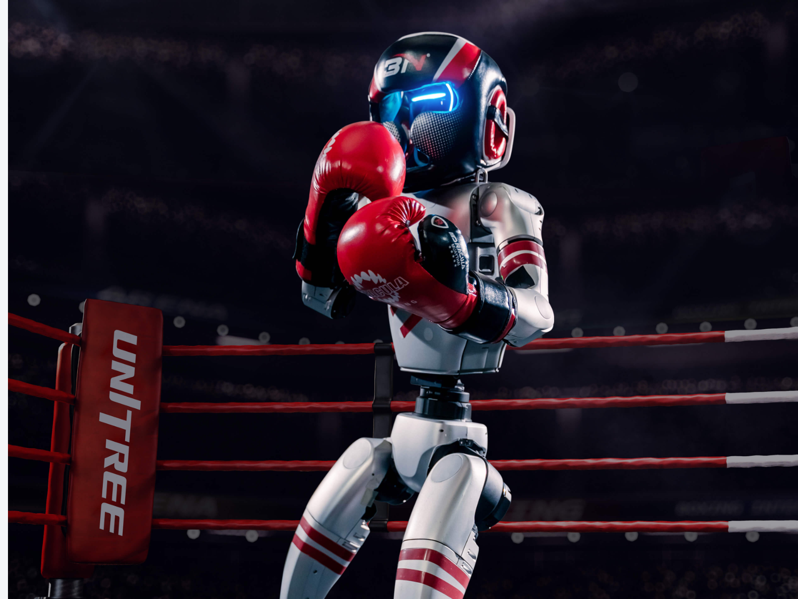Unitree G1-Boxing