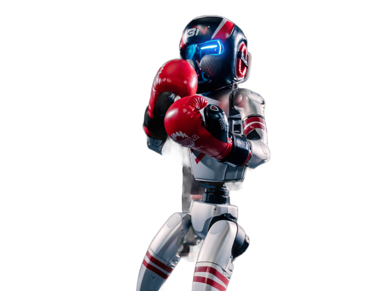 Unitree G1-Boxing